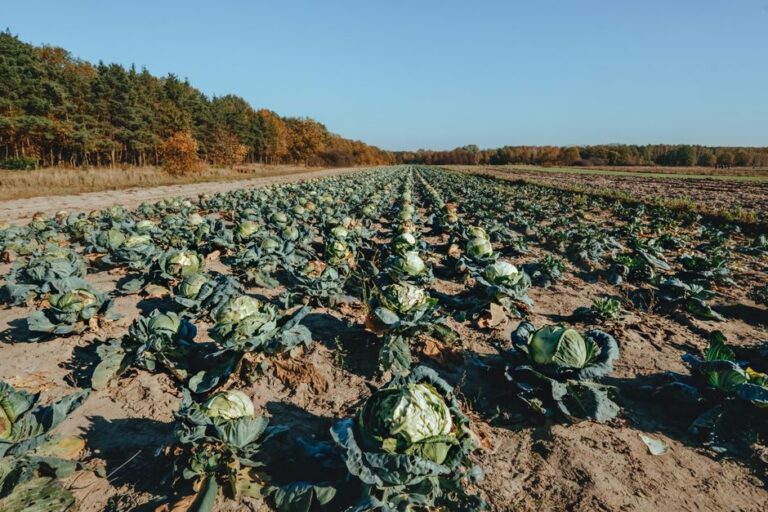 organic farming supplies