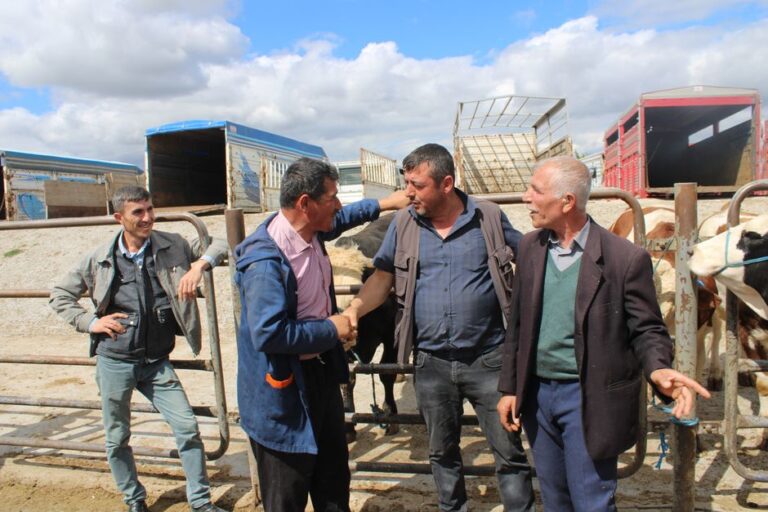 supplier of livestock feed