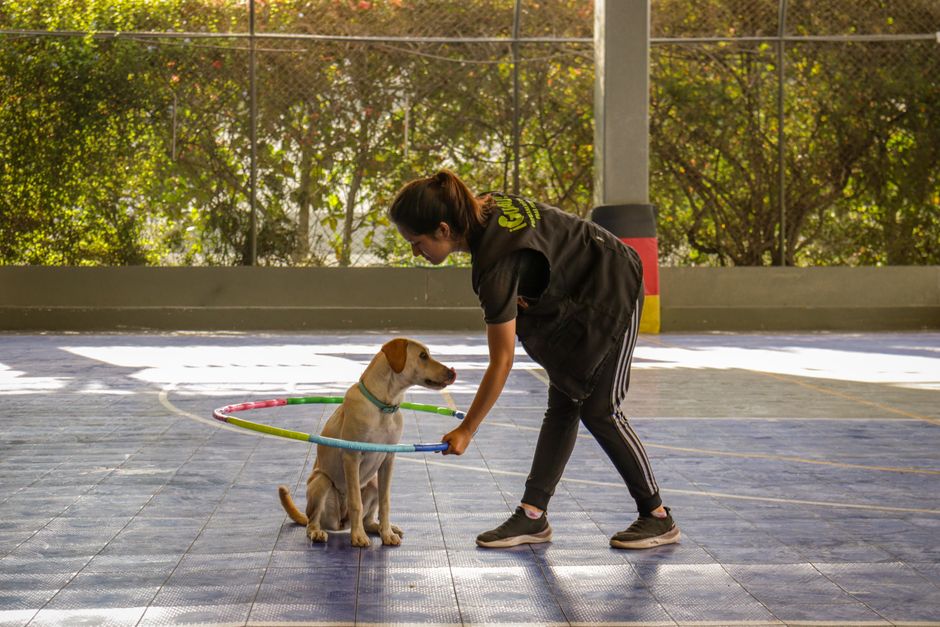 pet boarding facility