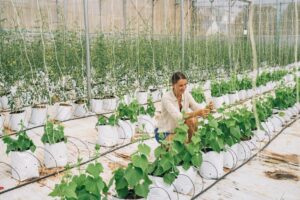 vertical farming technology
