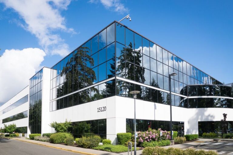 window cleaning company